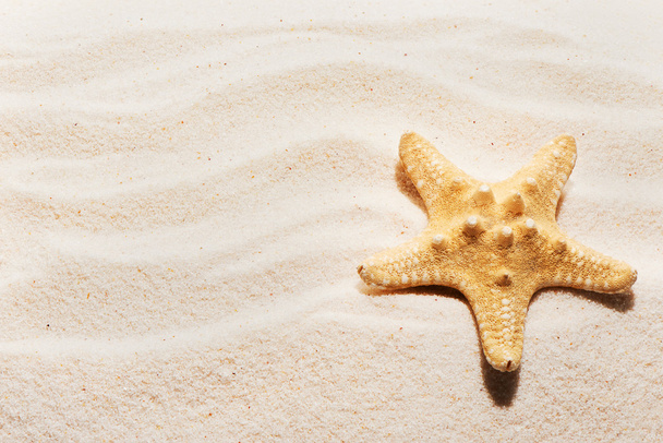 波のマークが付いている砂のヒトデ。夏のビーチの背景 - 写真・画像
