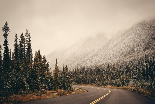 Highway in Banff National Park - 写真・画像