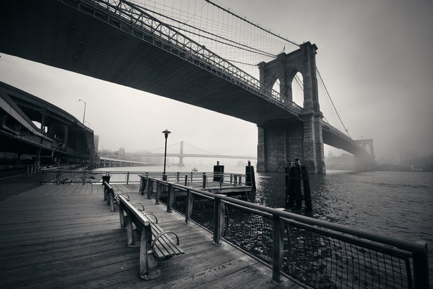 ブルックリン橋の眺め - 写真・画像