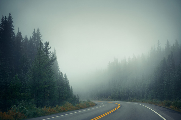 Alacakaranlıkta sisli yol - Fotoğraf, Görsel