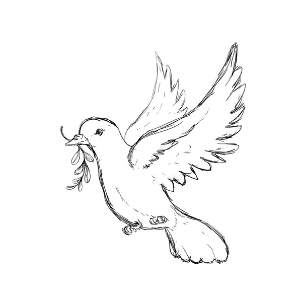 Icona della colomba. Bird and Peace design. Grafico vettoriale
 - Vettoriali, immagini