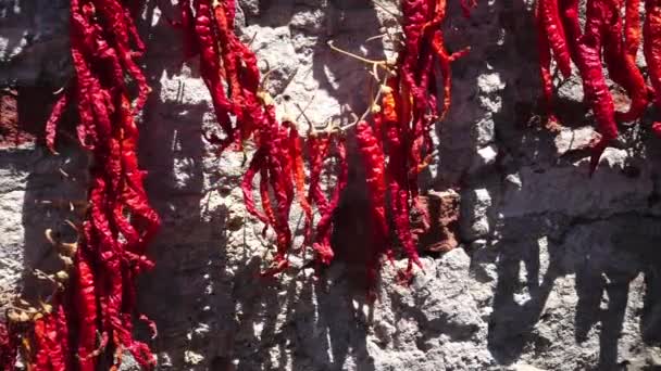 Κόκκινες καυτερές πιπεριές στον τοίχο - Πλάνα, βίντεο