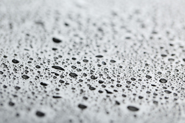 Water drops on a black - Zdjęcie, obraz