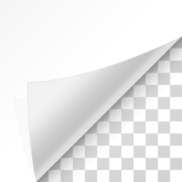 Curl papírové rohy - Vektor, obrázek