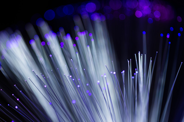 Fiber optical network cable - Photo, Image