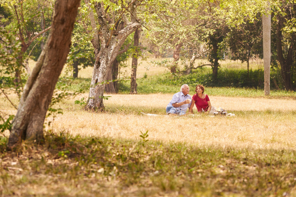 Couple sénior Homme et femme âgés faisant un pique-nique
 - Photo, image