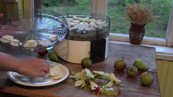 női kezek fel szeletelt körte gyümölcs szárító gép étel. Vértes. 4k - Felvétel, videó