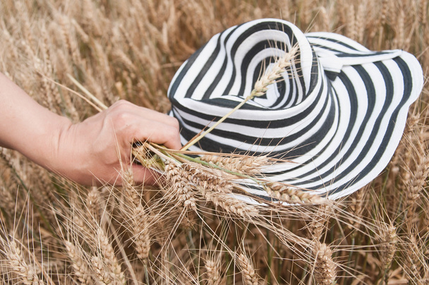 retail of hand of Woman with hat in a Wheat field - Foto, Imagem
