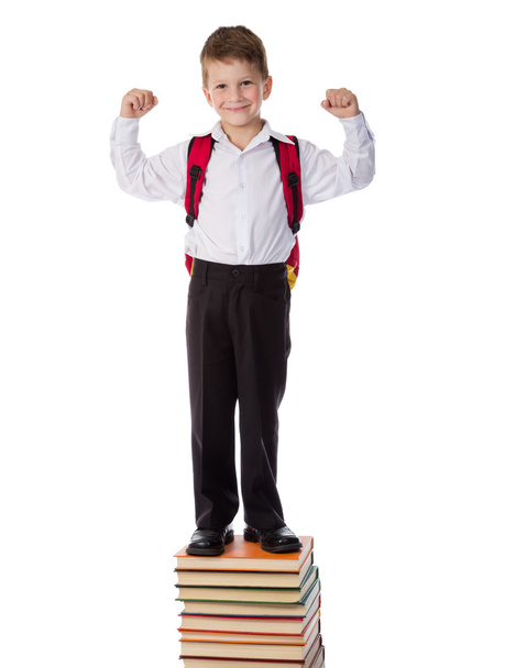 Smiling boy standing on pile of books - Foto, afbeelding
