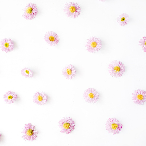 chamomile pattern on white - Фото, изображение
