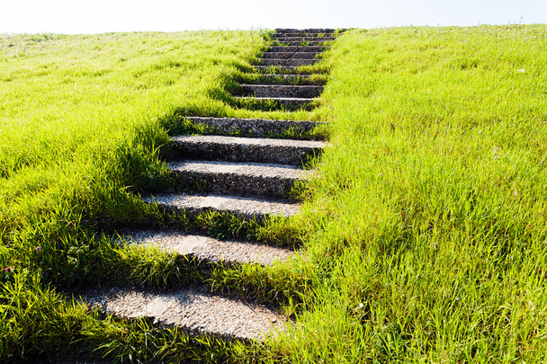 Старая каменная лестница на травяном поле, ведущая вверх
 - Фото, изображение