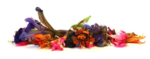 géranium, pétunia, fleurs délicates sèches, feuilles et pétales
  - Photo, image