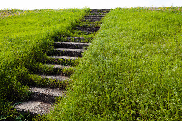 Stone trap bedekt met gras leidt naar boven  - Foto, afbeelding