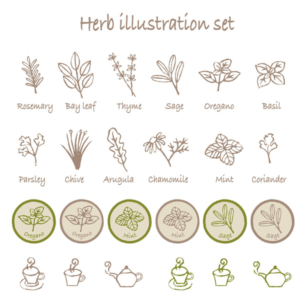 Varios conjunto de ilustración de hierbas
 - Vector, Imagen