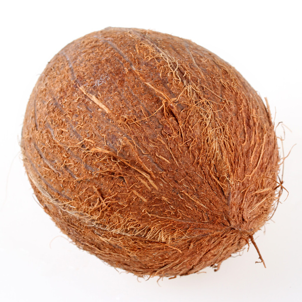 Fresh coconut isolated - Valokuva, kuva