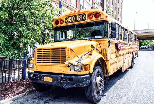 American School Bus - Фото, изображение