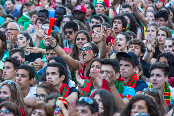 Πορτογαλική οπαδούς κατά τη διάρκεια αγώνα - Φωτογραφία, εικόνα