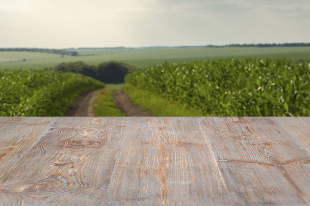 Mooie houten tafel in een landschap. - Foto, afbeelding