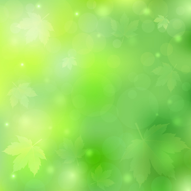 Spring or summer background with bokeh lights and maple leaves - Vecteur, image