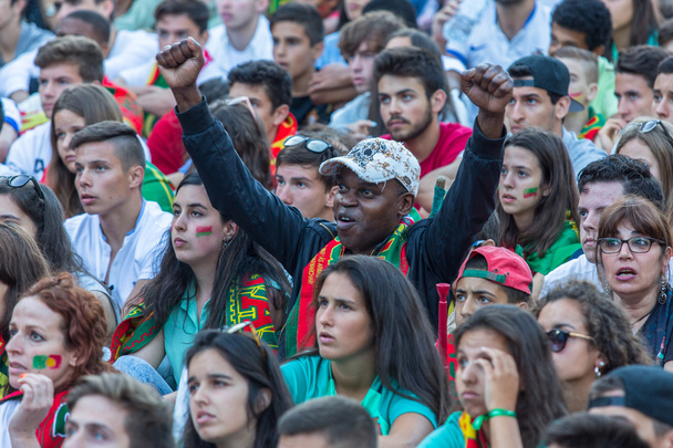 Πορτογαλική οπαδούς κατά τη διάρκεια ποδοσφαιρικού αγώνα - Φωτογραφία, εικόνα