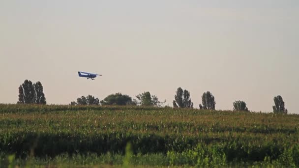 vliegtuig vliegt over maïsveld bij zonsopgang - Video