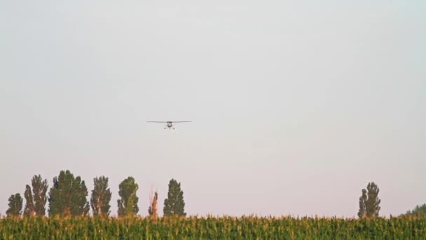 Flugzeug fliegt über Maisfeld - Filmmaterial, Video