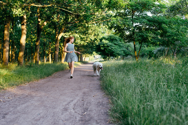 girl playing with dog in park - Zdjęcie, obraz