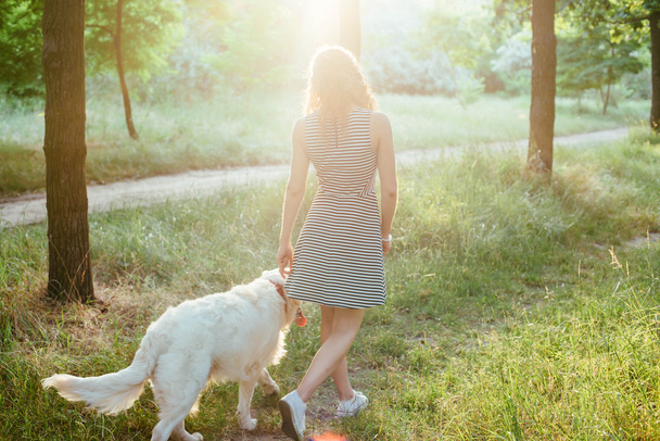 girl walking with dog in park - Foto, Imagem