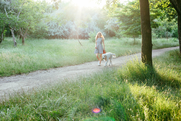 girl walking with dog in park - Foto, Imagem