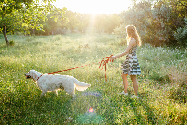 Tyttö kävelee koiran kanssa puistossa
 - Valokuva, kuva