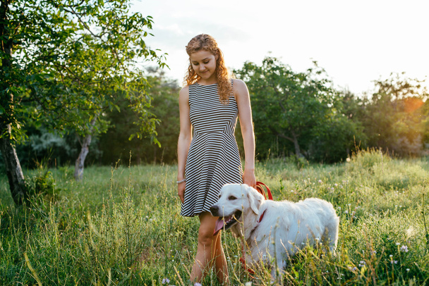 Kız ile parkta köpek yürüyüş - Fotoğraf, Görsel