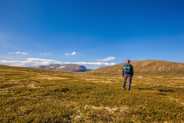турист с рюкзаком путешествует в горах Норвегии Доврефьель
 - Фото, изображение
