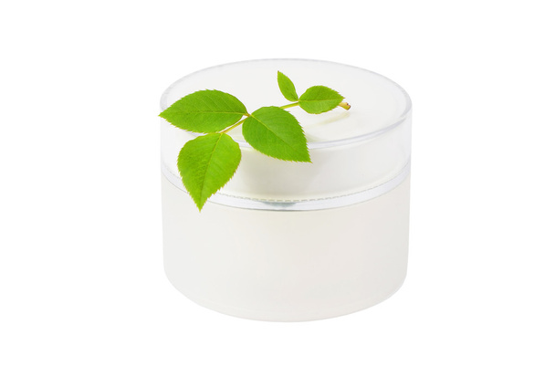Cream can and green leaf - Photo, Image