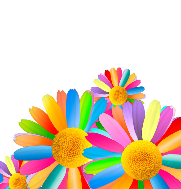 Colorful Chamomiles - Zdjęcie, obraz