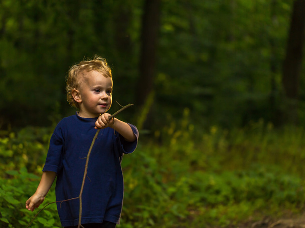 Ormanda oynarken küçük sarışın çocuk - Fotoğraf, Görsel