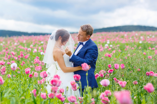 Pareja feliz boda en campo de amapola rosa
 - Foto, imagen