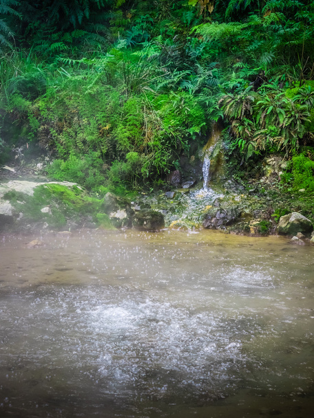 Caldeira Velha hot springs - Fotó, kép