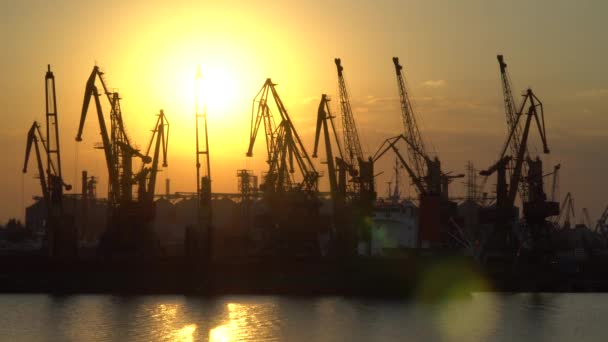 Захід сонця на фоні кранів в морському порту - Кадри, відео