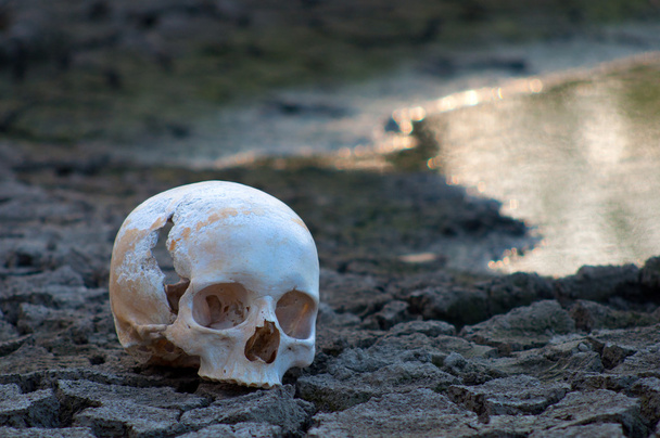 menselijke schedel op de bodem van uitgedroogd meer tijdens zomer droogte - Foto, afbeelding