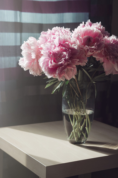 Beautiful fresh bouquet of pink peonies roses flowers in glass vase on the table with sunlight background. Summer time concept. Still life, rustic style.  floral, home decor. Pastel colors purple - Foto, immagini