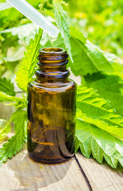 nettle tincture in a small bottle and fresh leaves on white wood, medicinal herb for overweight, diabetics and kidney weakness, selected focus, narrow depth of field - Fotografie, Obrázek