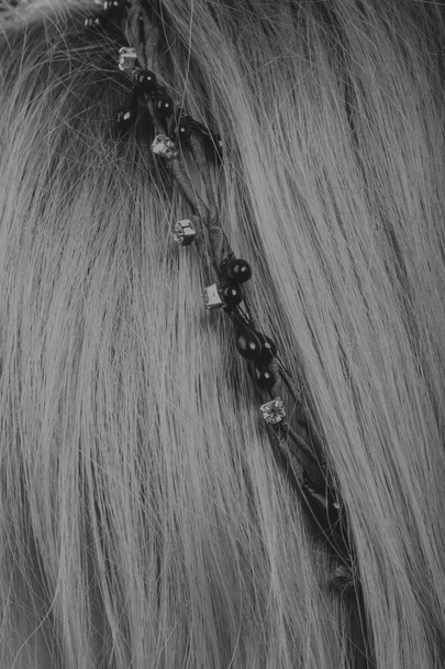 Corona de pelo. Foto en blanco y negro
 - Foto, Imagen