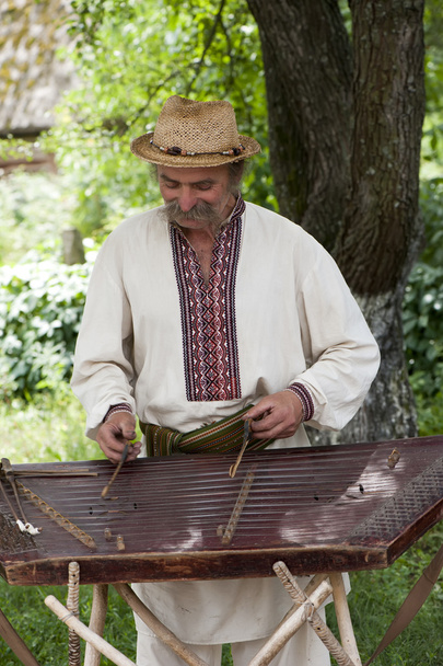 Un musicista folk ucraino
 - Foto, immagini