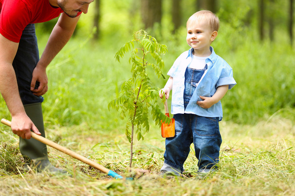 Cute baby boy planting tree with parent in garden - 写真・画像