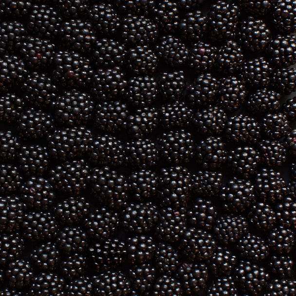 BlackBerry fruit achtergrond - Foto, afbeelding