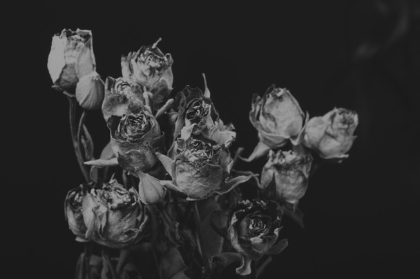 Dry rose in the smoke, black and white creative photo - Φωτογραφία, εικόνα