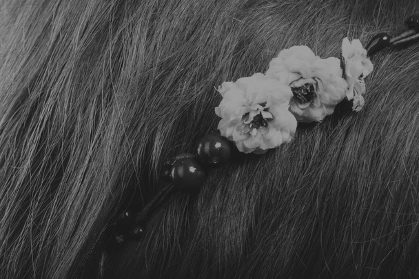 Mooie brunette met een krans in haar haar, zwart-wit foto - Foto, afbeelding