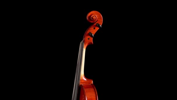Cuello, pergamino y pegbox de violín o viola girando sobre fondo negro
 - Metraje, vídeo
