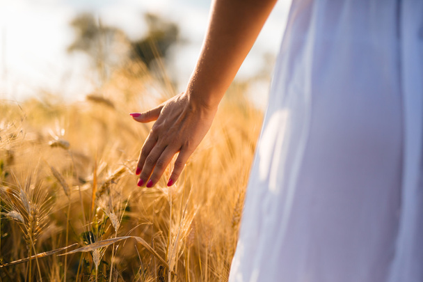 Beautiful woman in barley field - Photo, image