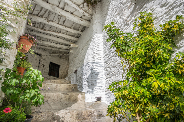 Είσοδος κατοικίας με plantpots σε Capileira - Φωτογραφία, εικόνα